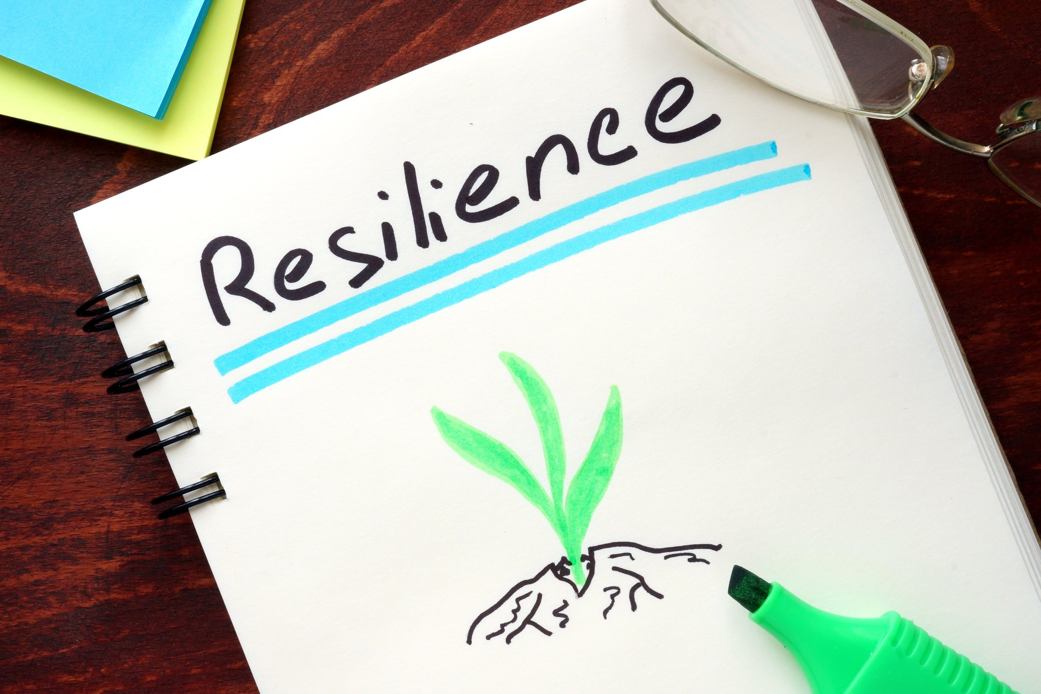 Resilience iStock-512698022